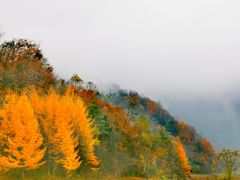-神农架景区