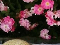 -武汉长江大桥
