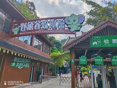-野象谷景区