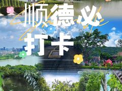 -顺峰山公园