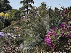 -云溪植物园