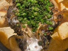 -探鱼·鲜青椒爽麻烤鱼(广州花都来又来店)