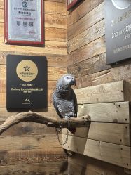 点击看大图 -Zoolung Zoolung动物主题公园(海信广场店)