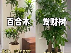 -居丽装饰空间设计(总部)