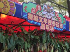 -文华公园(禅城区)