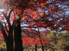 -常寂光寺