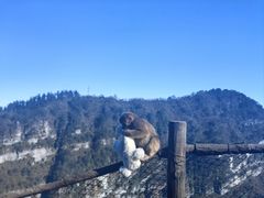 -峨眉山风景名胜区