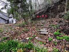 -镇江市南山风景名胜区竹林景区