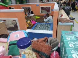 -孩子王童乐园(马群店)