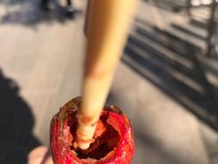 -和禄德冰糖葫芦