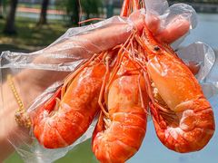 -蟹天蟹地农家菜·阳澄湖大闸蟹(浅水湾店)