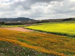 -光明小镇欢乐田园