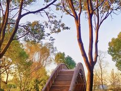 -嘉北郊野公园