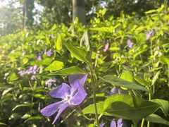 -雾·江·鲜建德菜