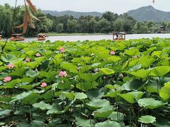 -承德避暑山庄景区