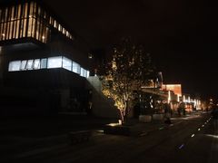 -映月湖中央公园