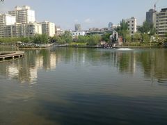 -雁滩公园