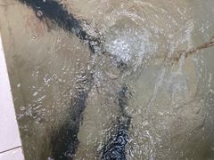 -万佛湖许老大铁锅鱼(黑金冠店)