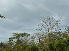 -海南鉴湖蓝湾高尔夫球会