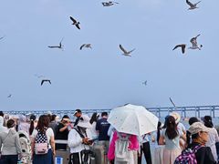 -星海广场