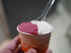 -Dip in Gelato(富民路店)