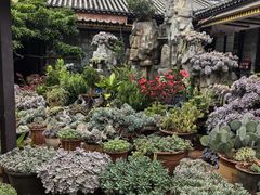 -山菌美食苑(振兴路店)