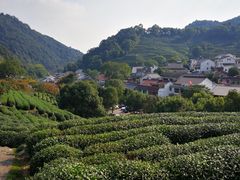 -中国茶叶博物馆(双峰馆区)