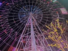 -南昌之星摩天轮