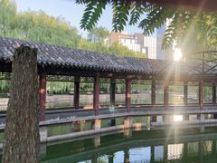 -团结湖公园
