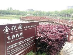-金银湖国家城市湿地公园