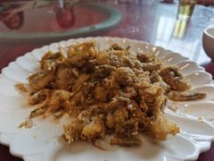 -鸿达渔港