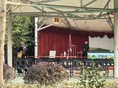 -合肥滨湖国家森林公园