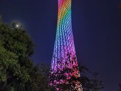 -珠江琶醍