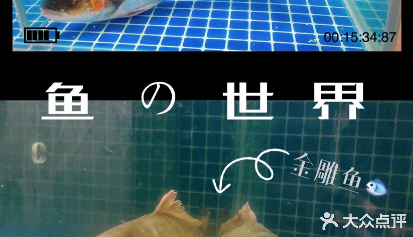 正宗顺德风味美食