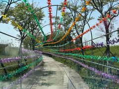 -洪湖湿地生态园