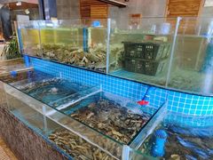 -蓝珊甄选海鲜自助·火锅大排档(近阿那亚店)