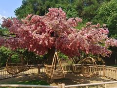 -常德桃花源景区