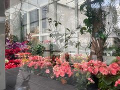 -上海自然博物馆