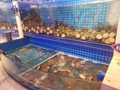 水产区-乔哥铭洋海鲜自助(皇城恒隆广场店)