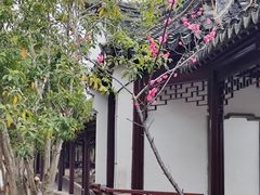 -八大山人梅湖景区