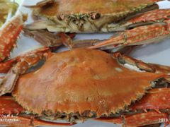 -沿海渔家院蒸汽海鲜·东北菜(东戴河店)