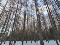 -长春净月潭风景名胜区
