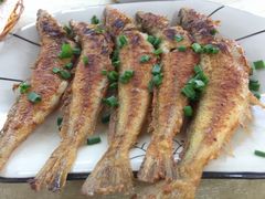 -隆都四季香饭店(碧海路店)