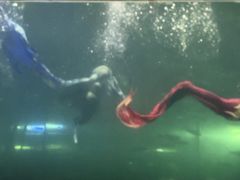 -洛阳龙门海洋馆