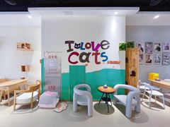 -藏猫猫咖啡主题馆(中央大道店)