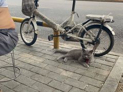 -小尕子新疆菜(百货大楼店)