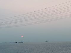 -宝安西湾红树林湿地公园