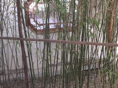 -南普公园