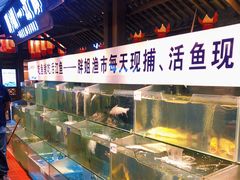 水产区-胖姐渔村(中源大道店)