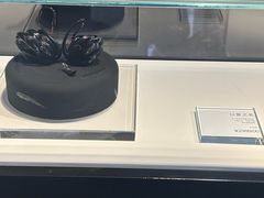 -BLACKSWAN黑天鹅(环球店)